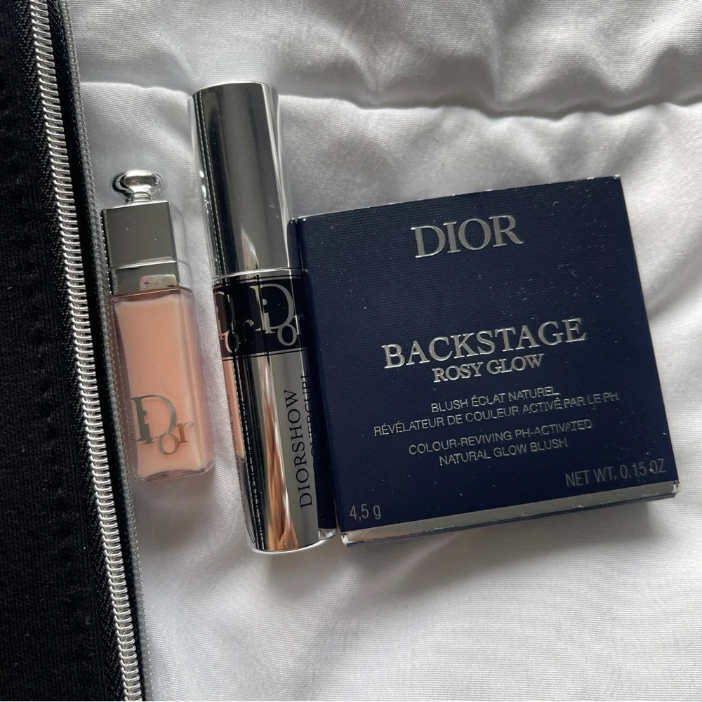 Dior Black Zip Pouch